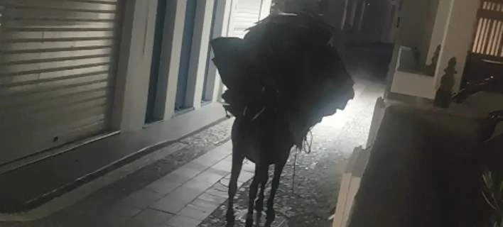 Εικόνες ντροπής στη Σαντορίνη! Υπερφορτωμένο γαϊδουράκι δε μπορεί να μετακινηθεί (Βίντεο)